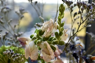 Delicate flowers are prominently featured in the foreground, with their pale petals and green foliage. A blurred background of more flowers and greenery, with hints of yellow and purple, creates a soft and serene atmosphere.