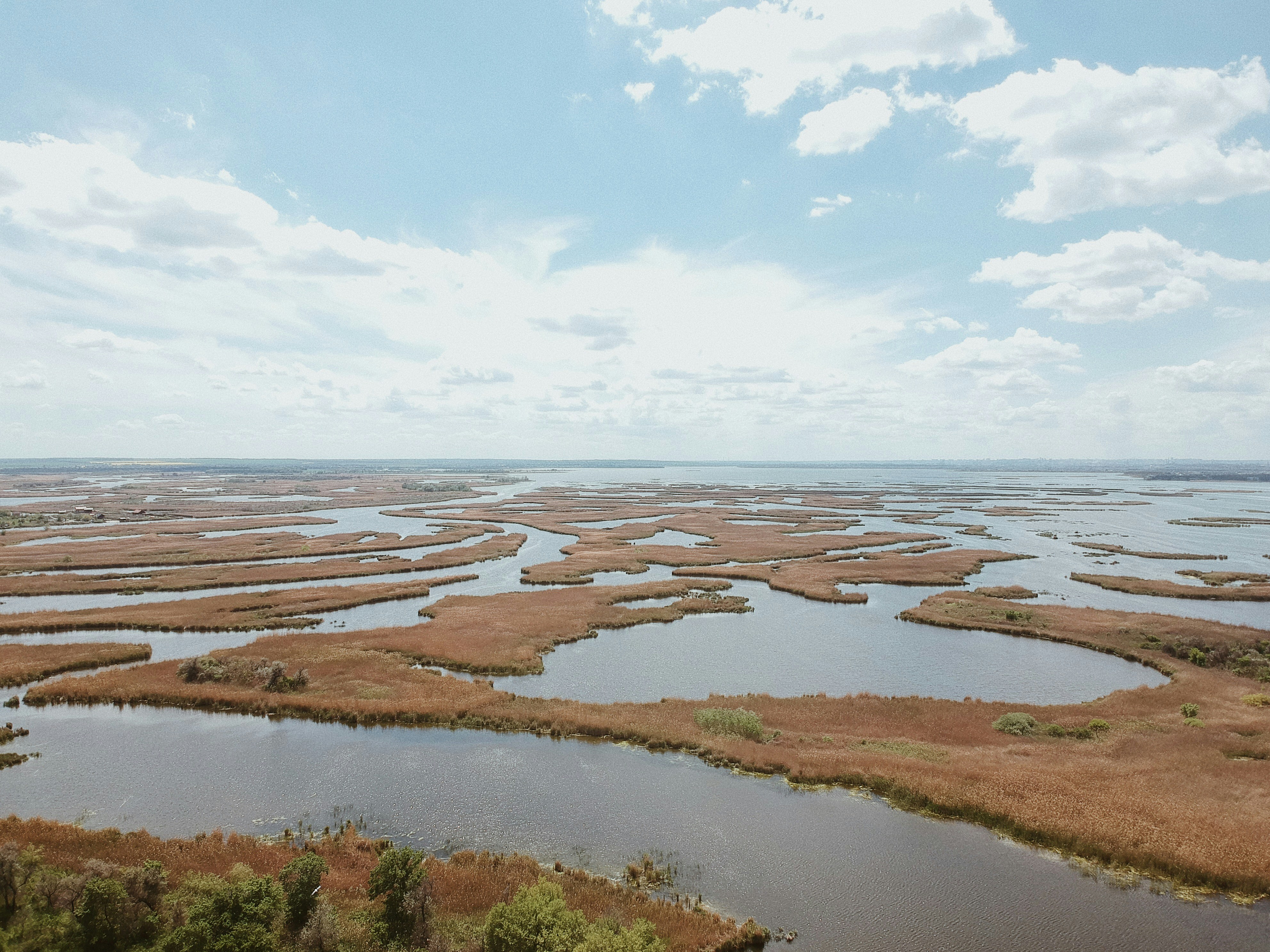 Photo by timesnewroman14