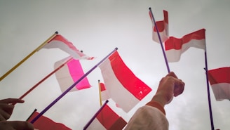 Multiple Indonesian flags are being waved in the air, held by people whose hands and arms are visible. The sky is overcast, creating a bright but diffused lighting effect.