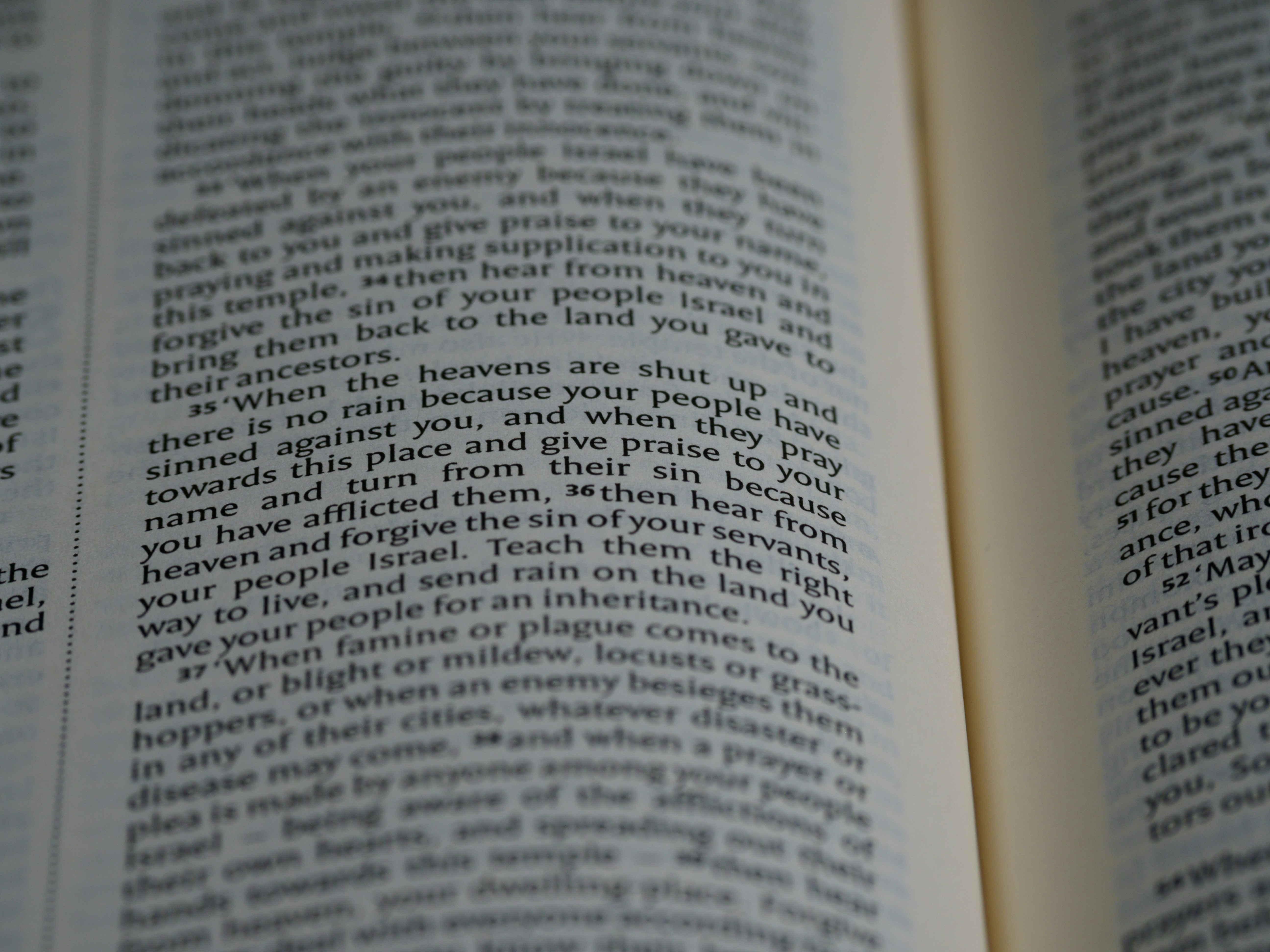 Photo by brett_jordan