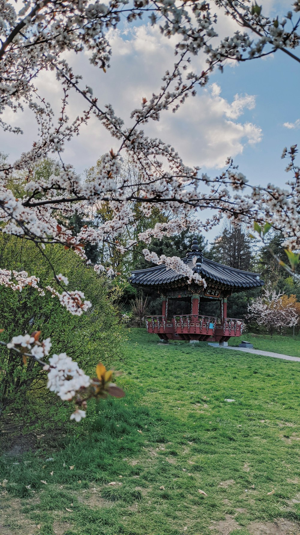 昼間の青空の下、緑の芝生に茶色の木造住宅