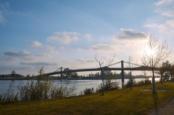 brown wooden bridge over river under blue sky during daytime