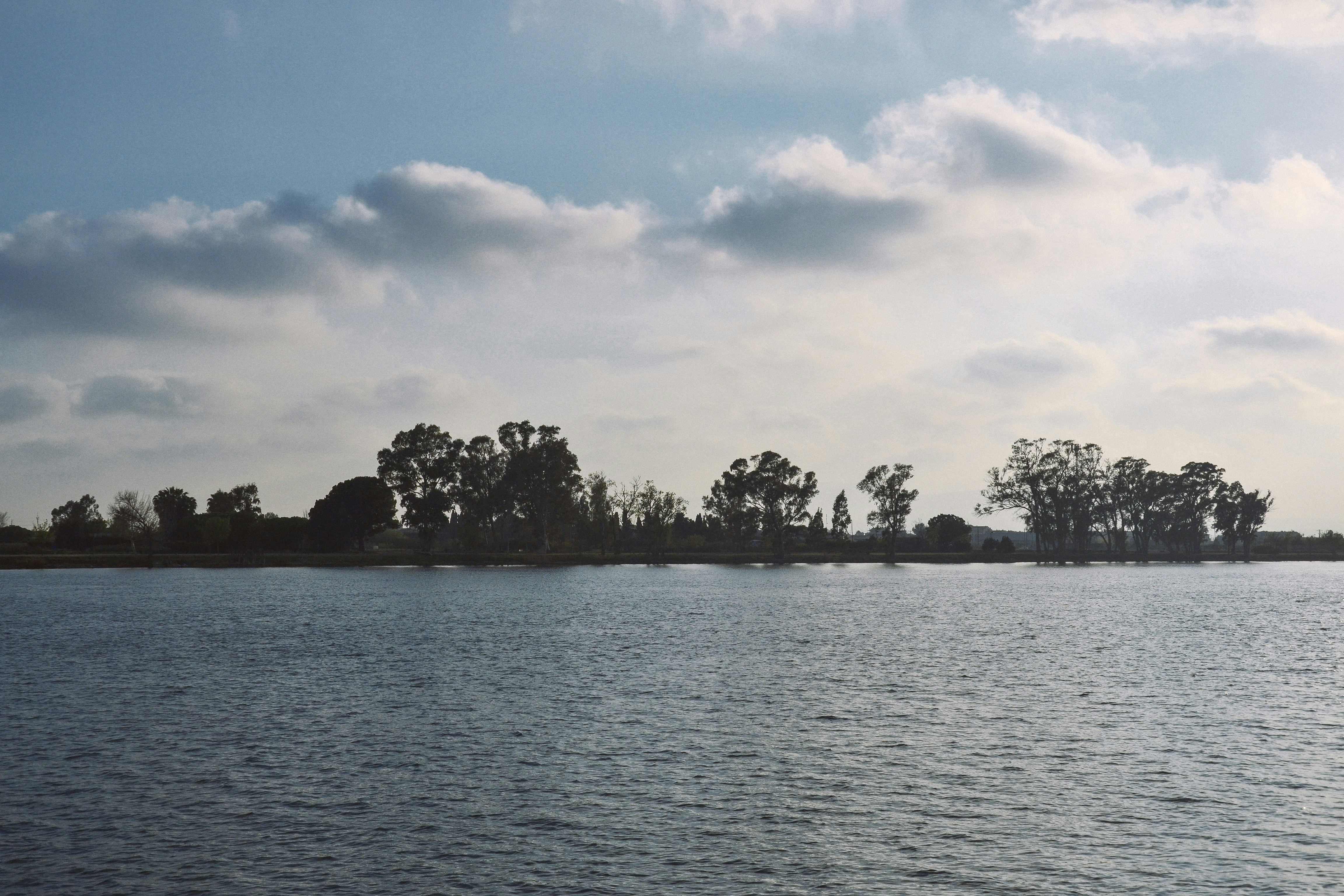 Photo by sergidolcet