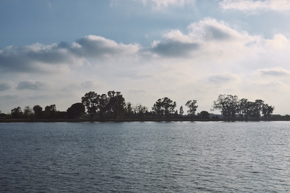 green trees beside body of water under cloudy sky during daytime