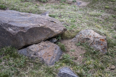 A small animal, possibly a ground squirrel, peeks out from under a large rock in a grassy area. The scene includes several rocks of varying sizes and patches of green grass interspersed with dirt.