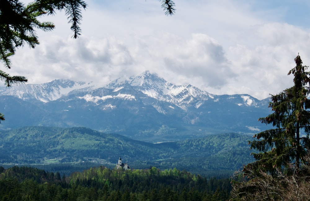 green trees near snow covered mountain during daytime