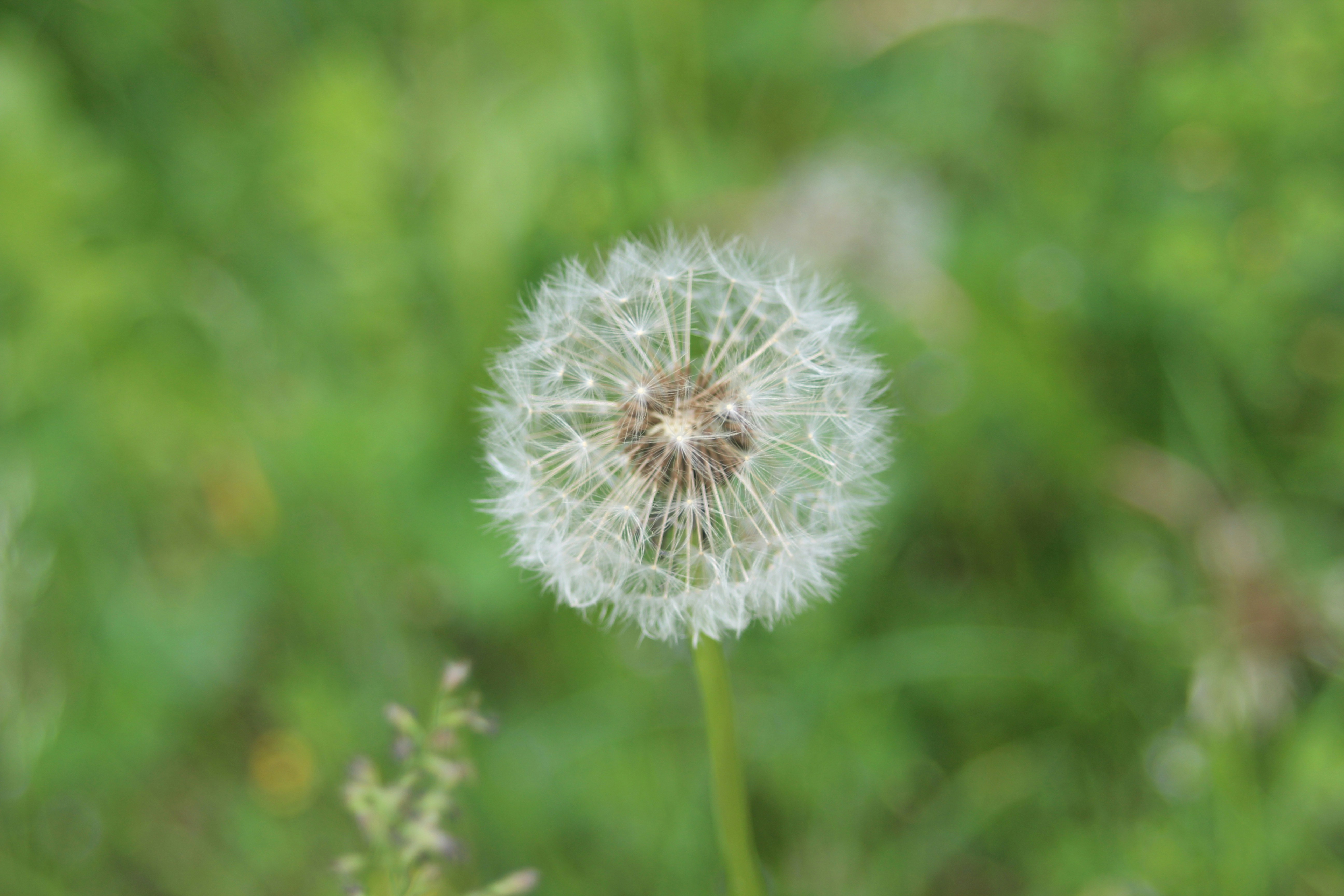 Photo by oscar_se_balade