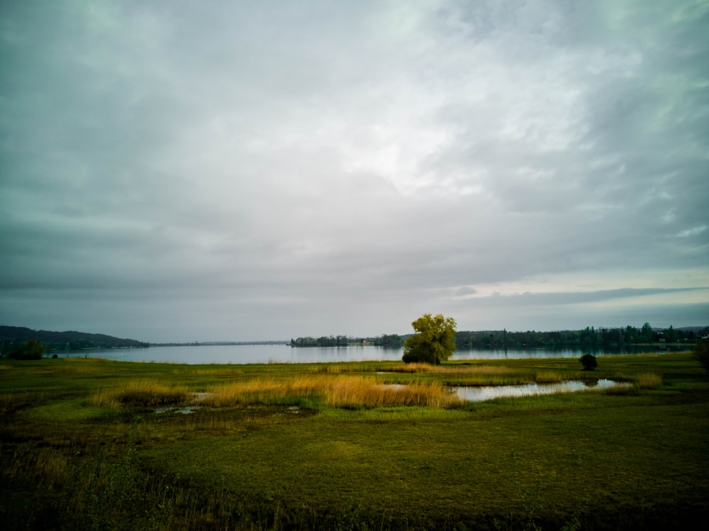 green grass field near body of water under cloudy sky during daytime