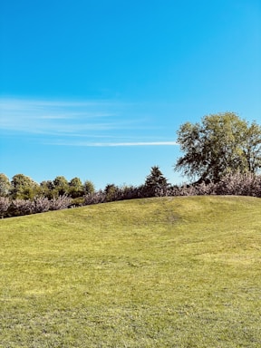A green open land plot with clear blue sky and distant hills.