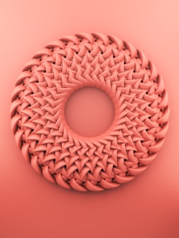 brown round ornament on pink surface