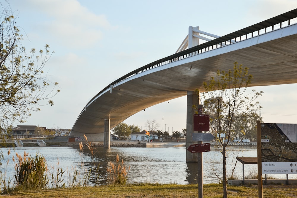 昼間の川に架かる白いコンクリート橋