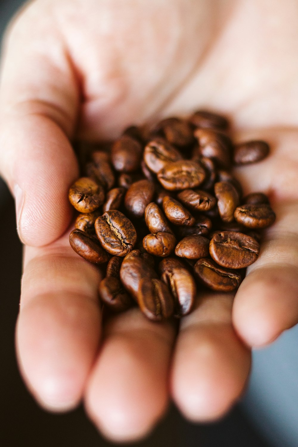 brown coffee beans on persons hand