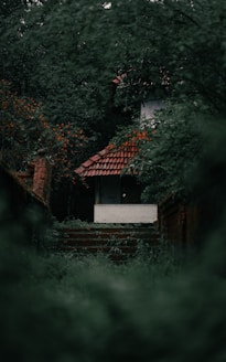 brown and white house near green trees