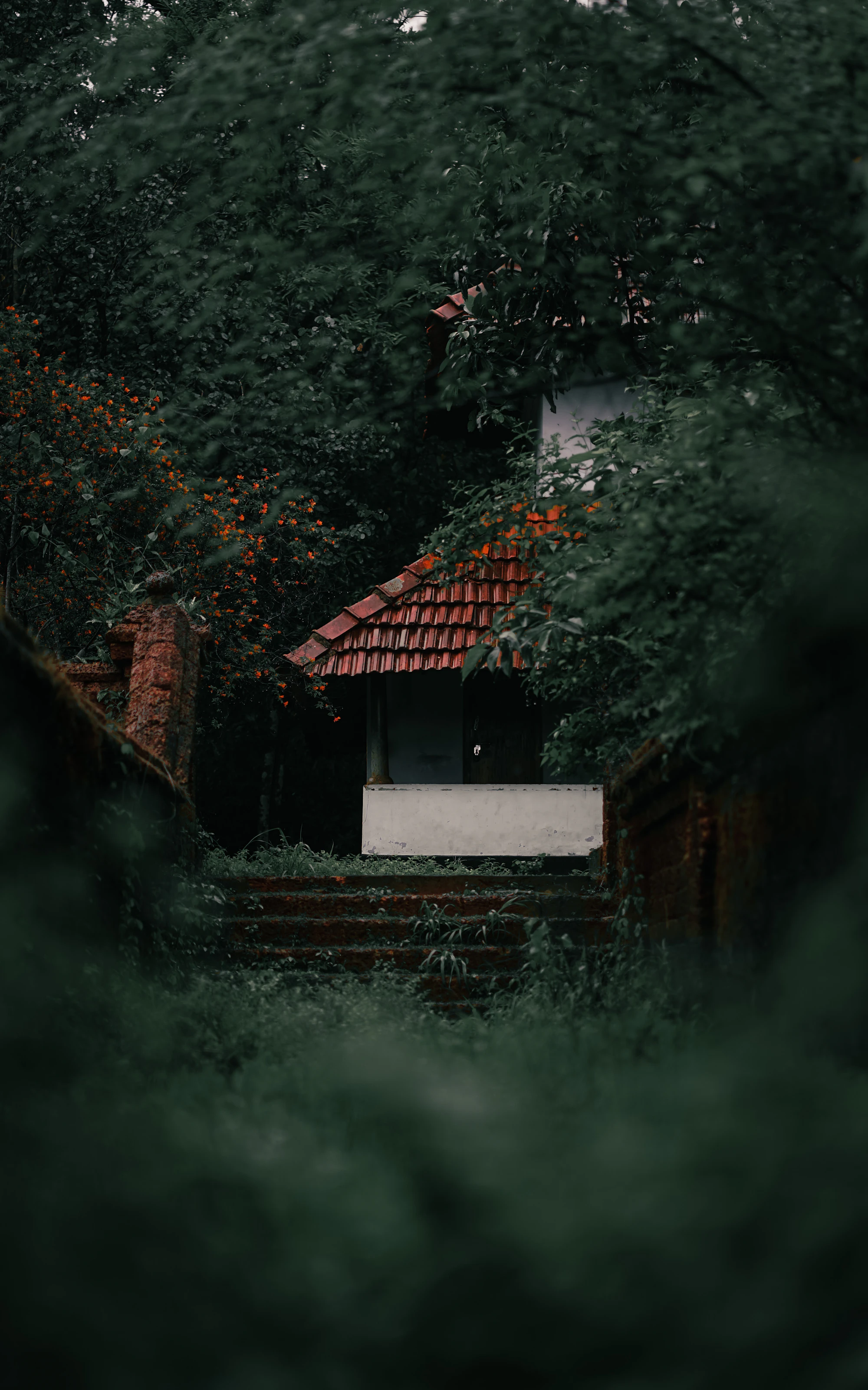 The red-tiled heritage house of Nalam Fort Kochi among the trees