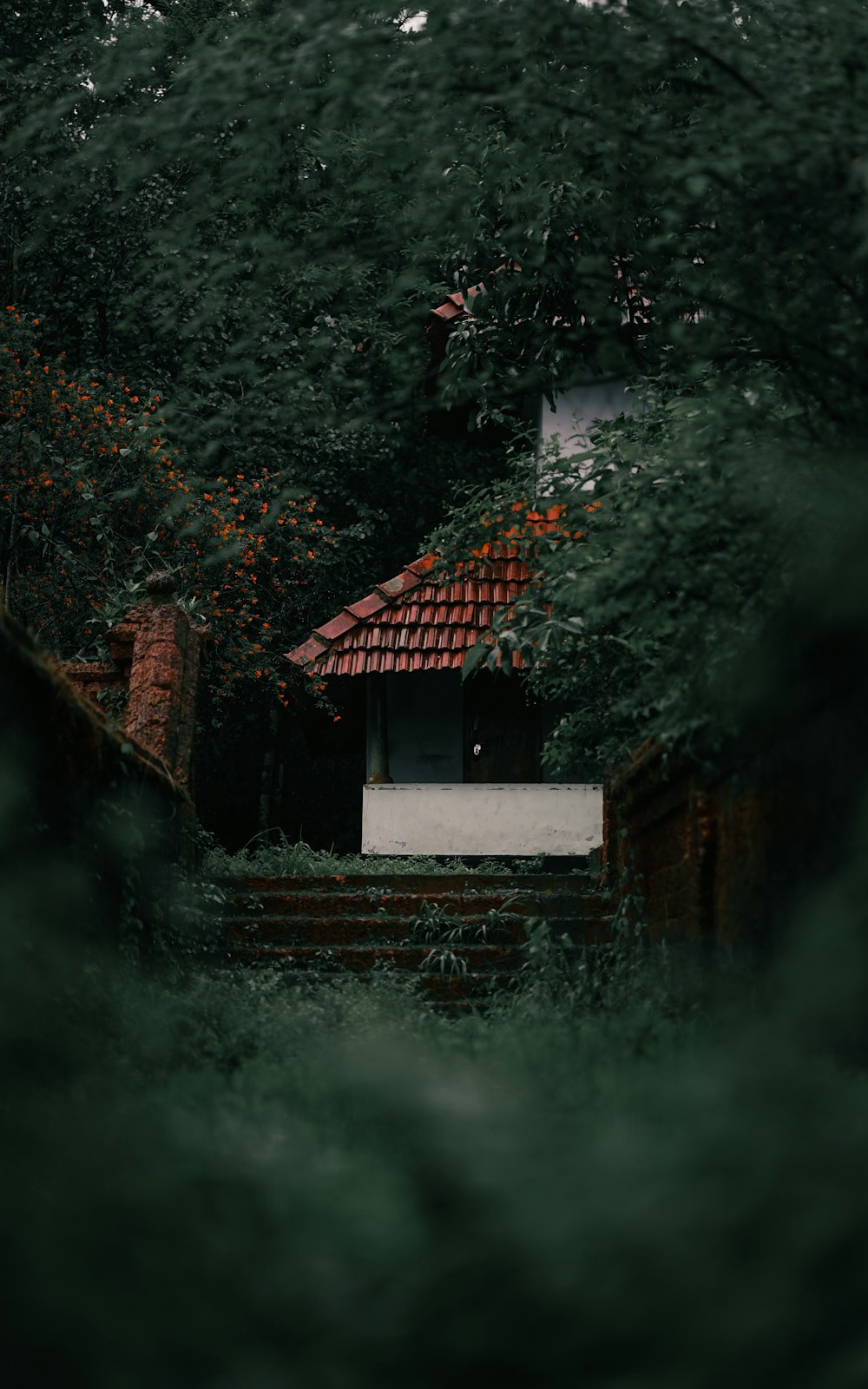 녹색 나무 근처의 갈색과 흰색 집