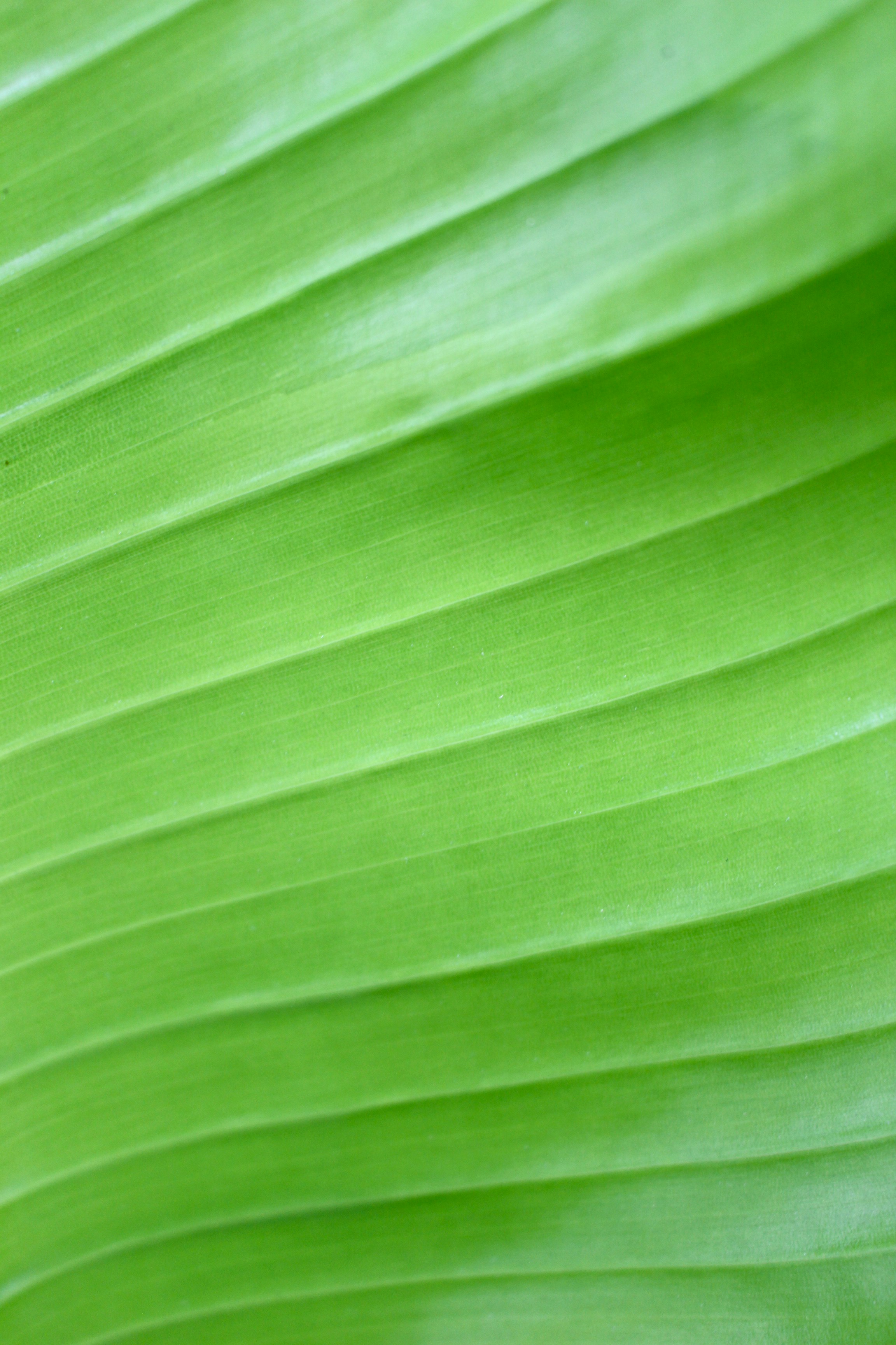 Photo by taniarichardson