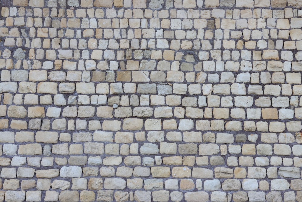 parede de tijolos brancos e castanhos