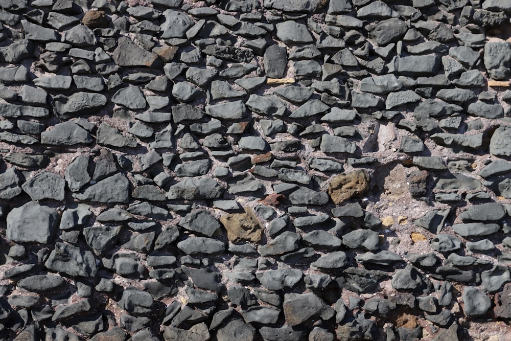 brown dried leaves on gray rocky ground