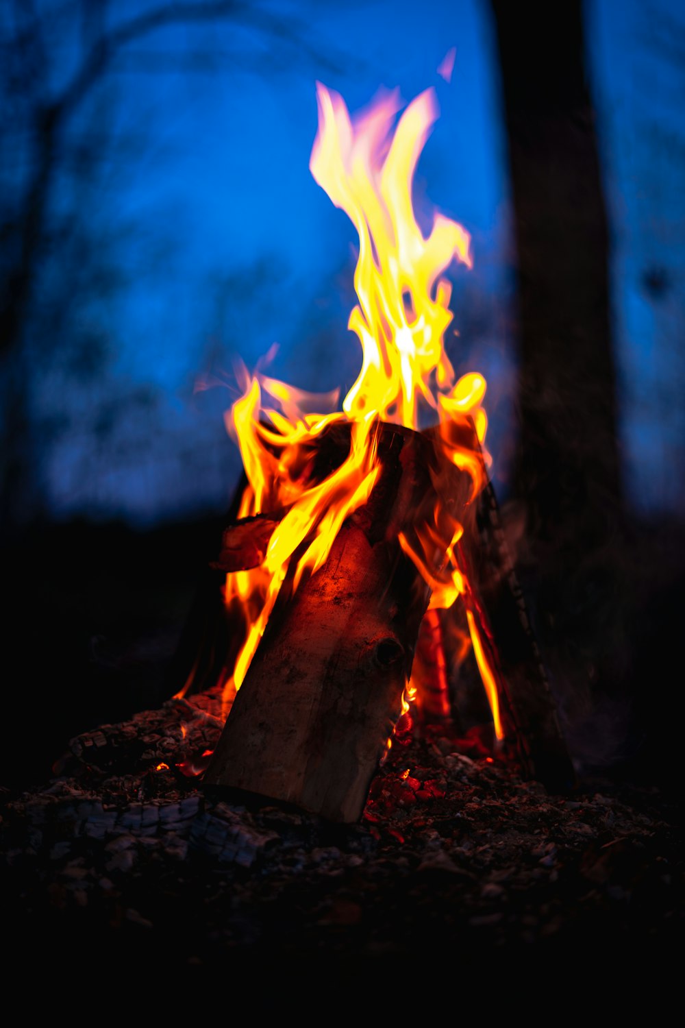 Feuer auf braunem Holz tagsüber