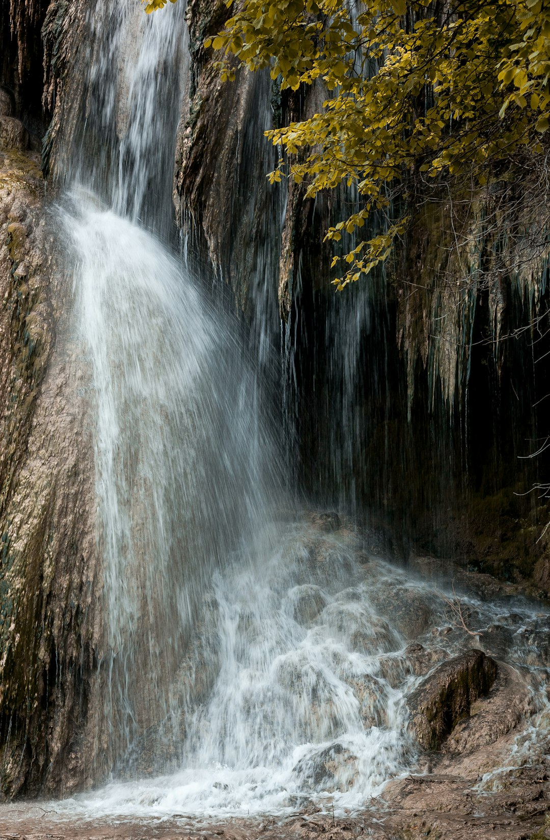 water falls in the middle of forest