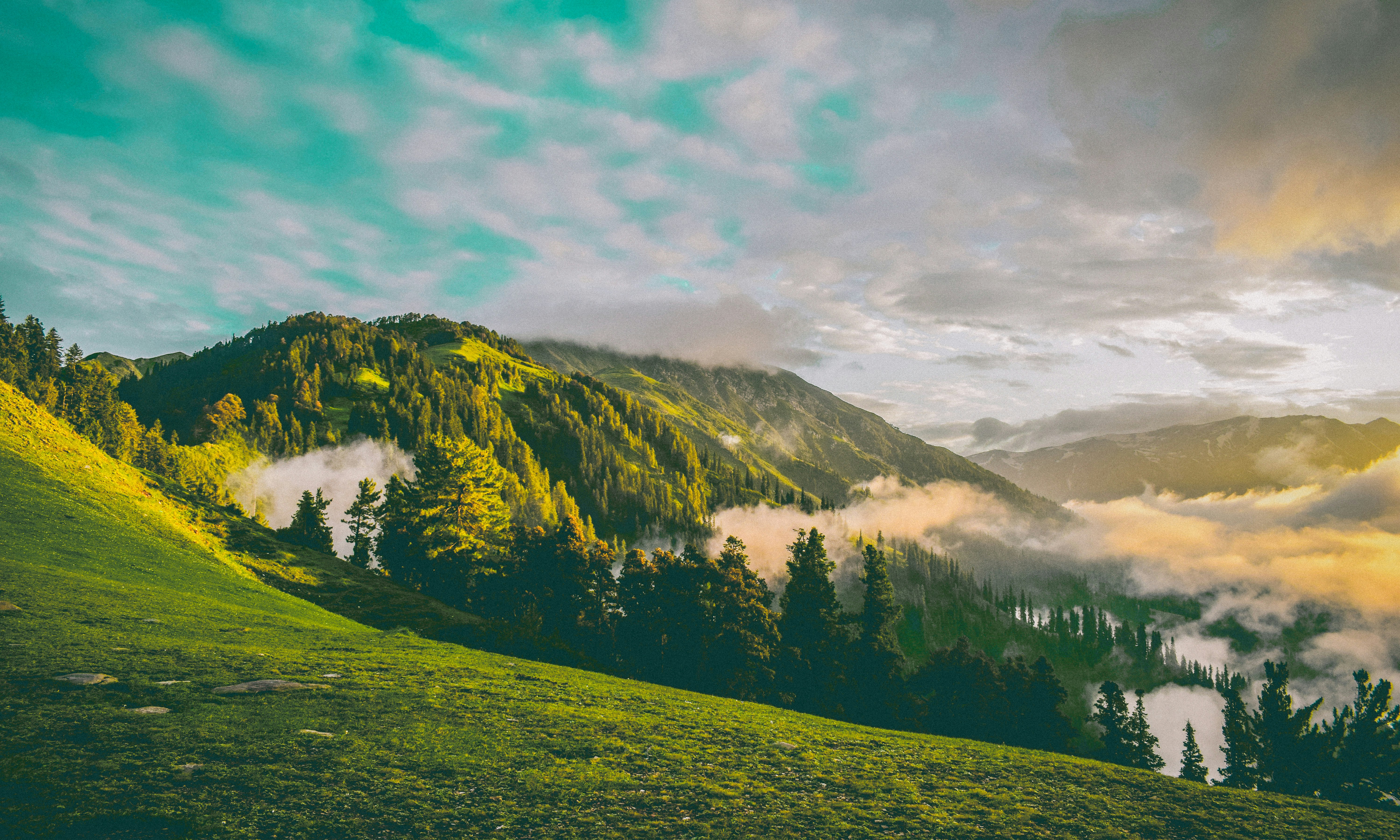 Photo by sachindogra007