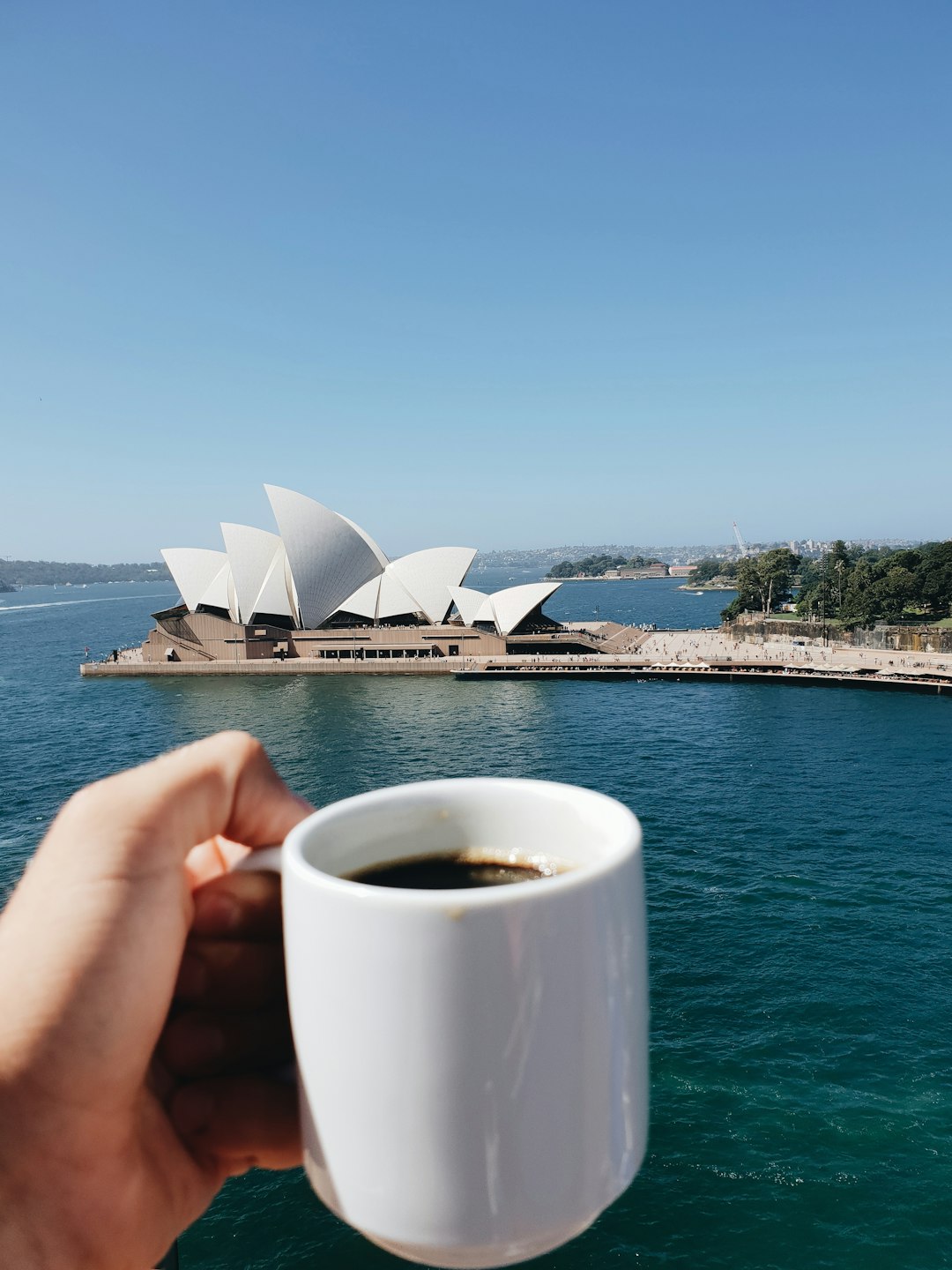 person holding white ceramic mug with coffee near body of water during daytime