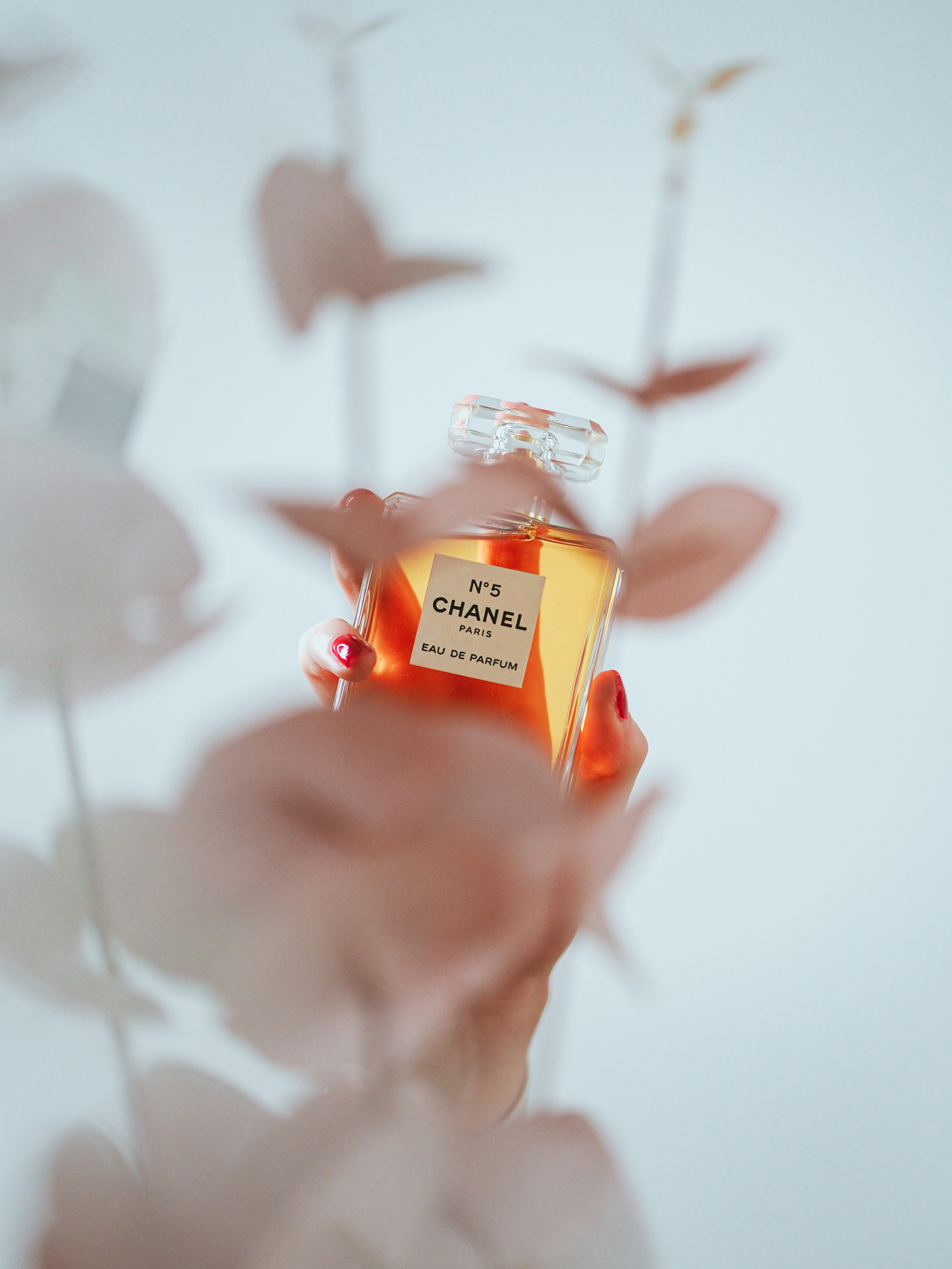 Photo by laurachouette