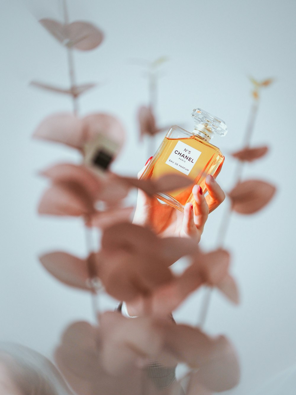 clear glass bottle on pink flower