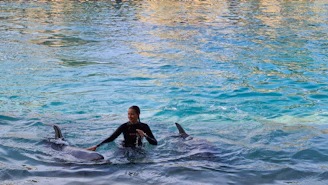 man in black wet suit riding black and gray dolphin in the middle of the sea