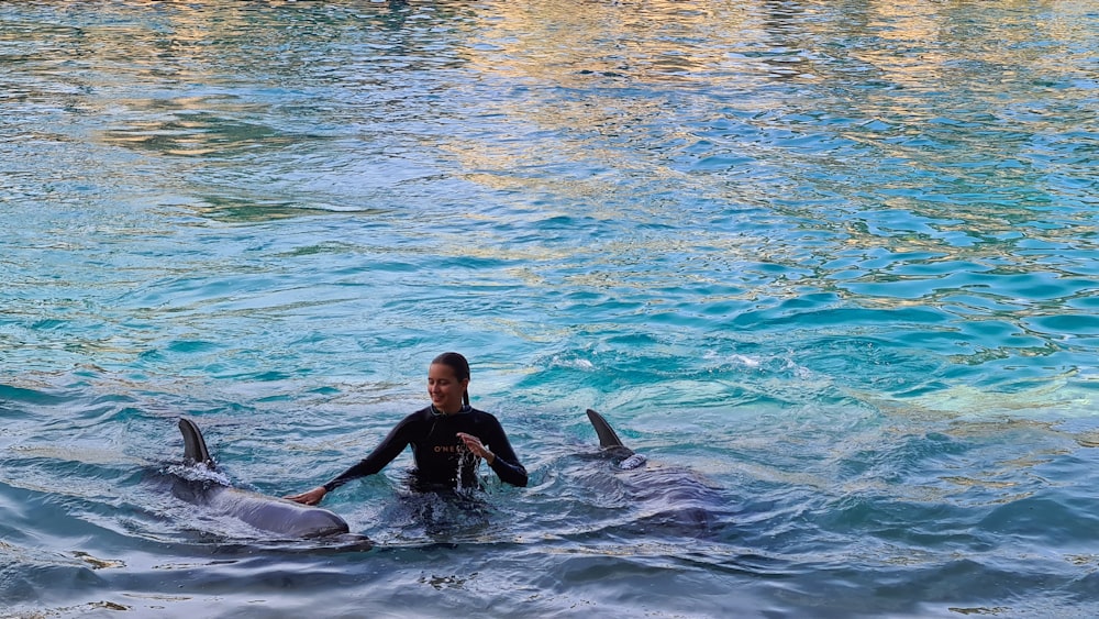 Mann im schwarzen Neoprenanzug reitet schwarz-grauer Delfin mitten im Meer
