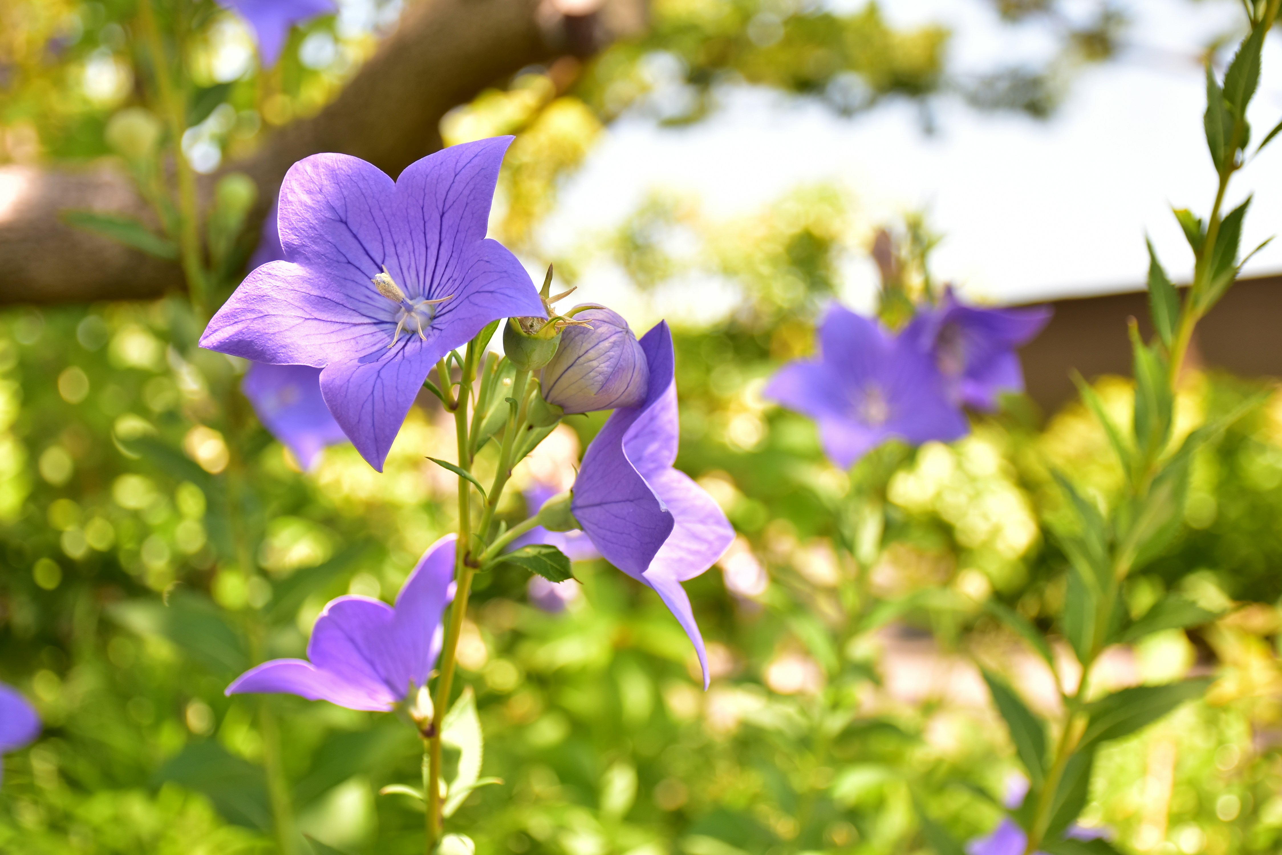 Photo by leoliang1230