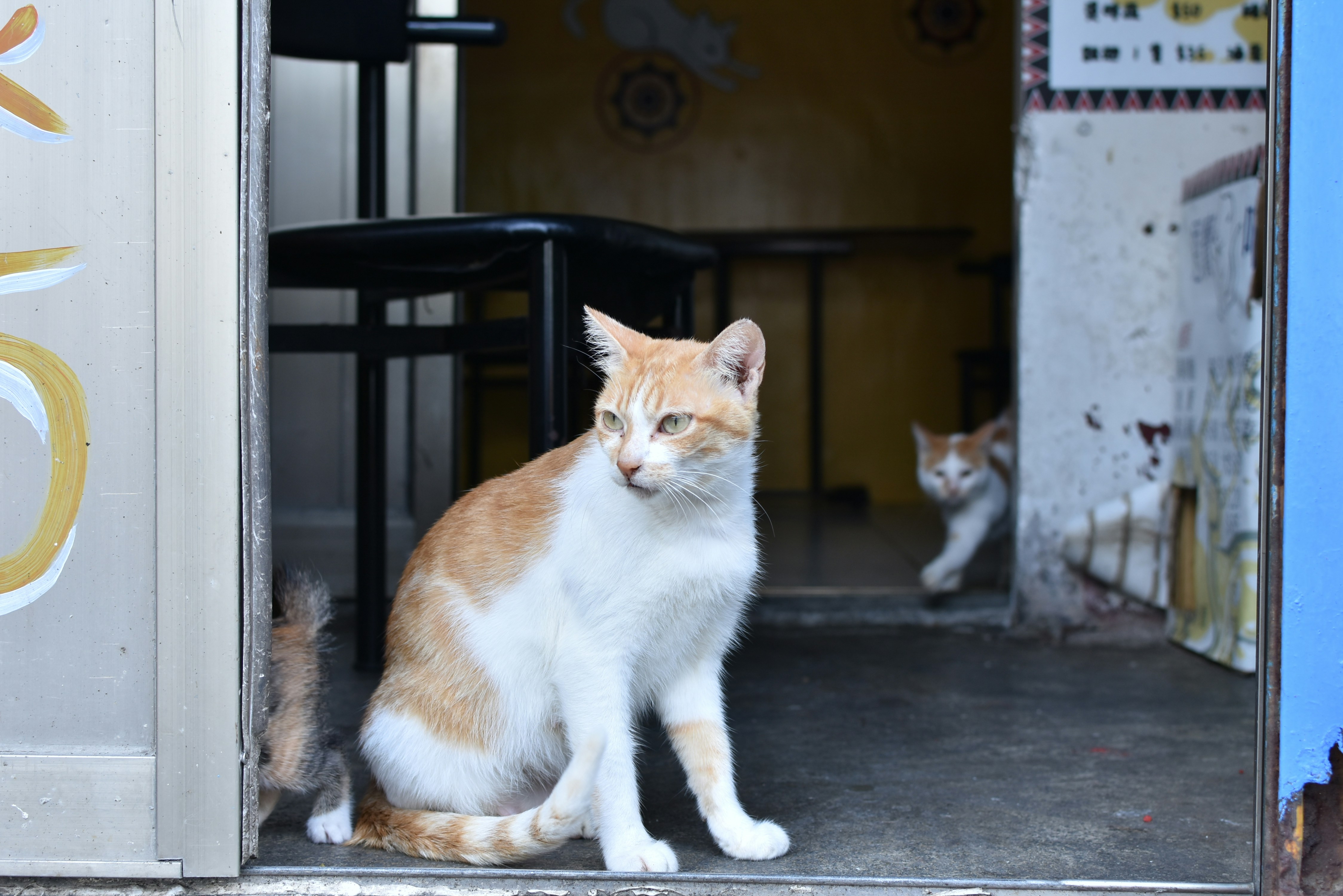 Photo by leoliang1230