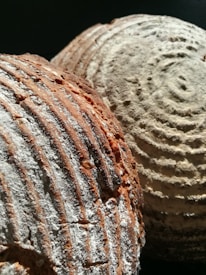 Two loaves of bread with a crusty texture and circular scoring patterns. The surface has a mix of flour dusting and a golden-brown baked appearance, with visible ridges and a rustic look.