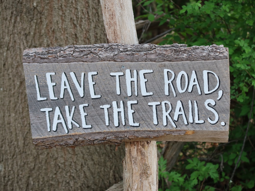 brown wooden signage on brown tree trunk