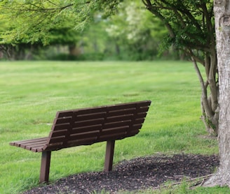 brown wooden bench on green grass field during daytime