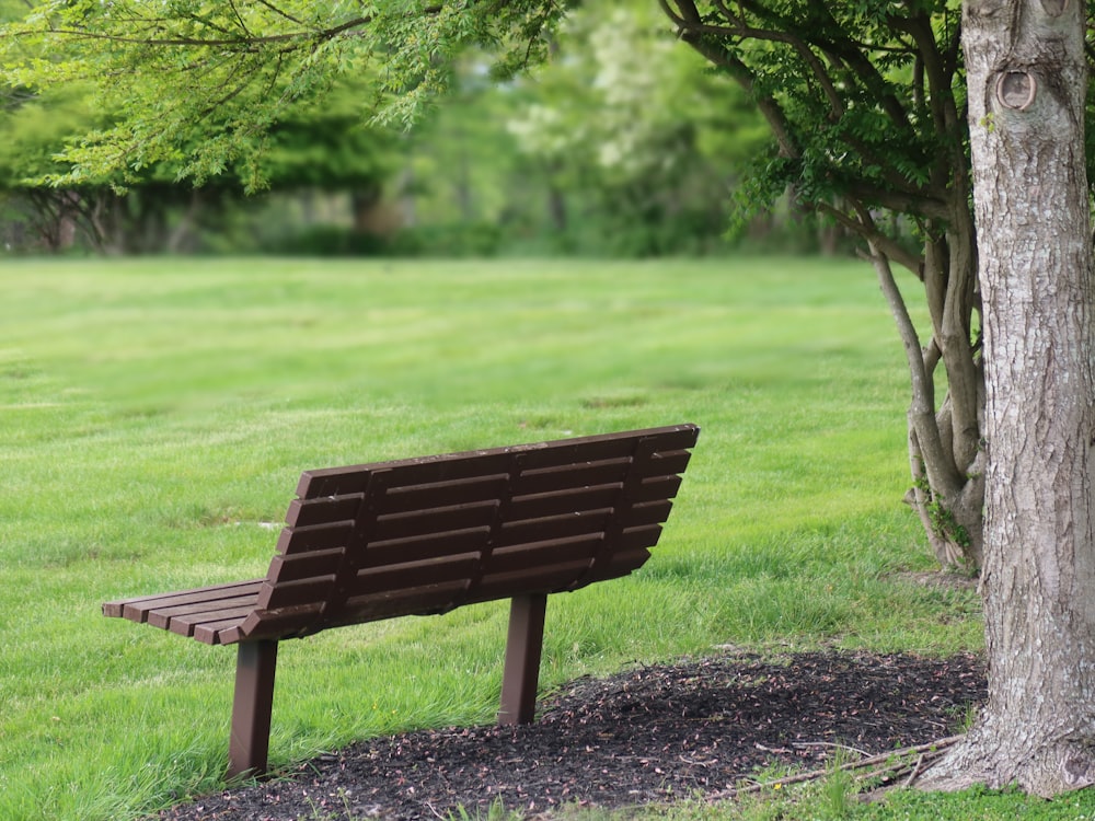 banc en bois brun sur un champ d’herbe verte pendant la journée