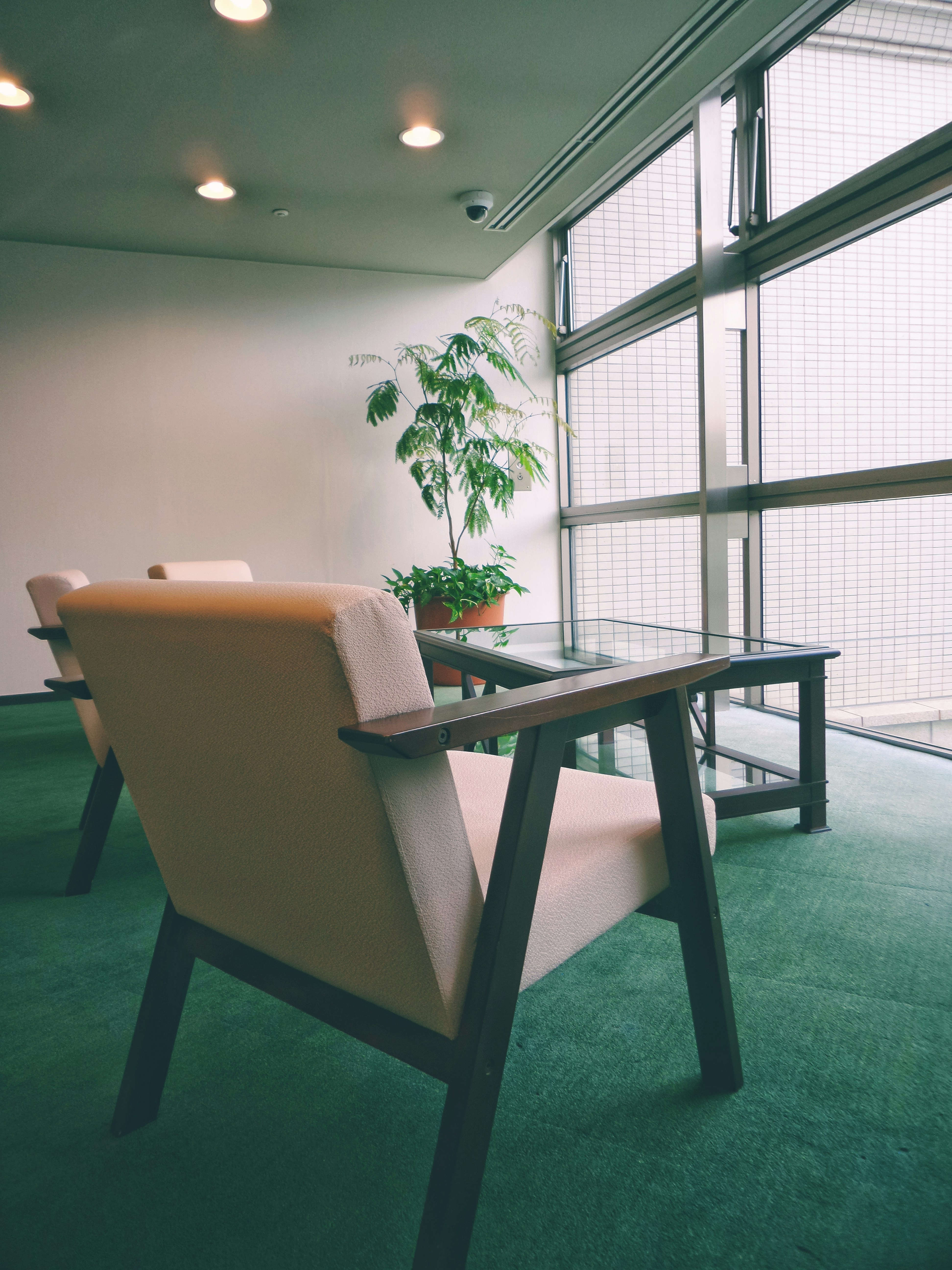 Photo by possessedphotography