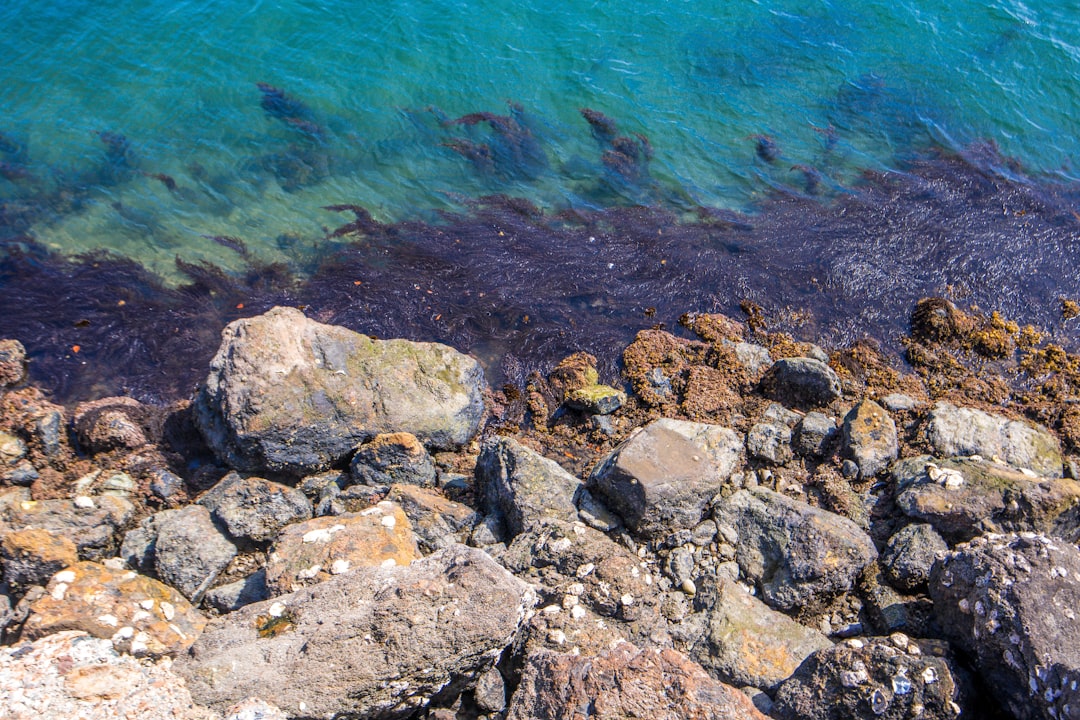 gray and black rocks near blue body of water during daytime