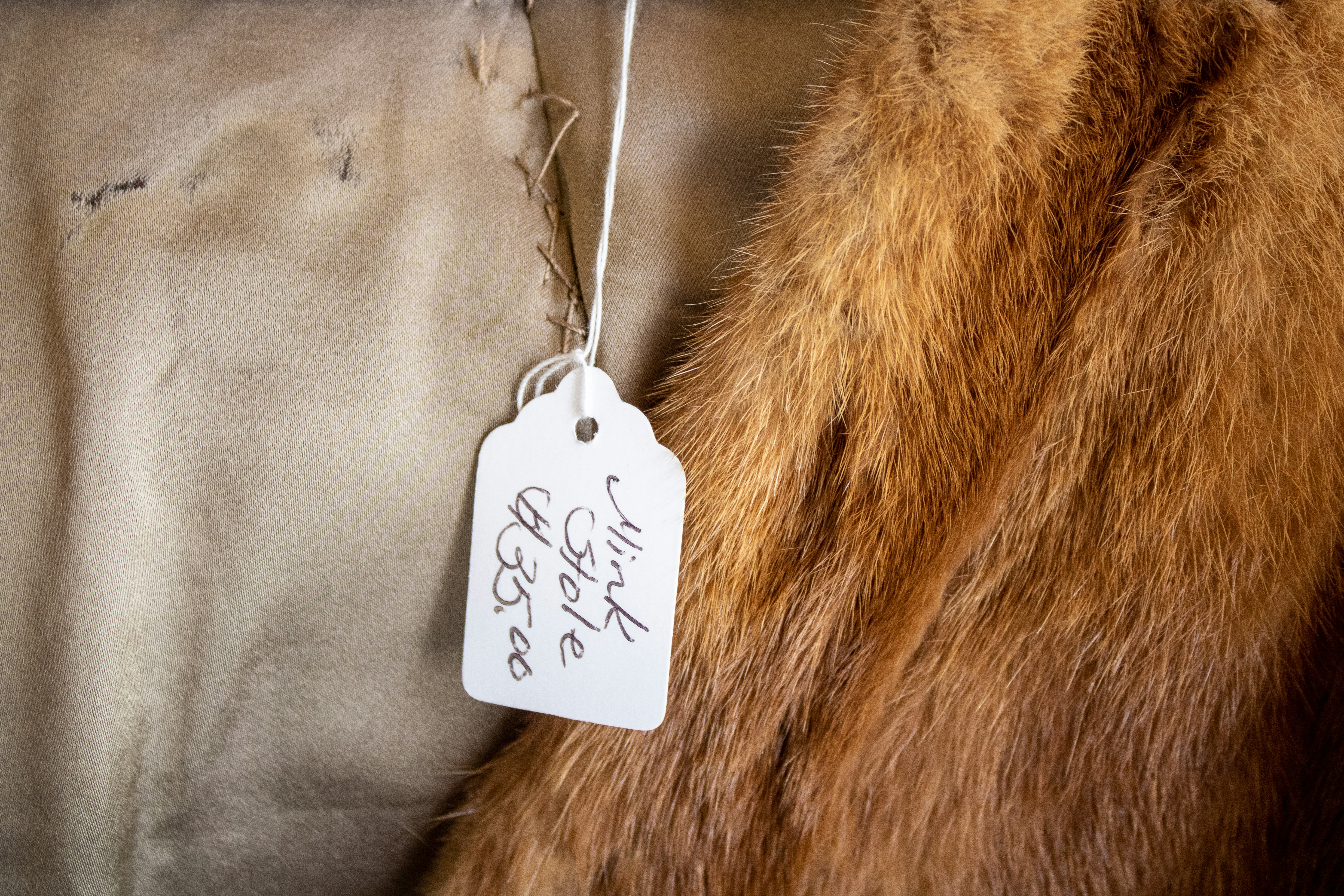 Yeoman Coat Wishes: Heartfelt Messages to Warm Every Journey