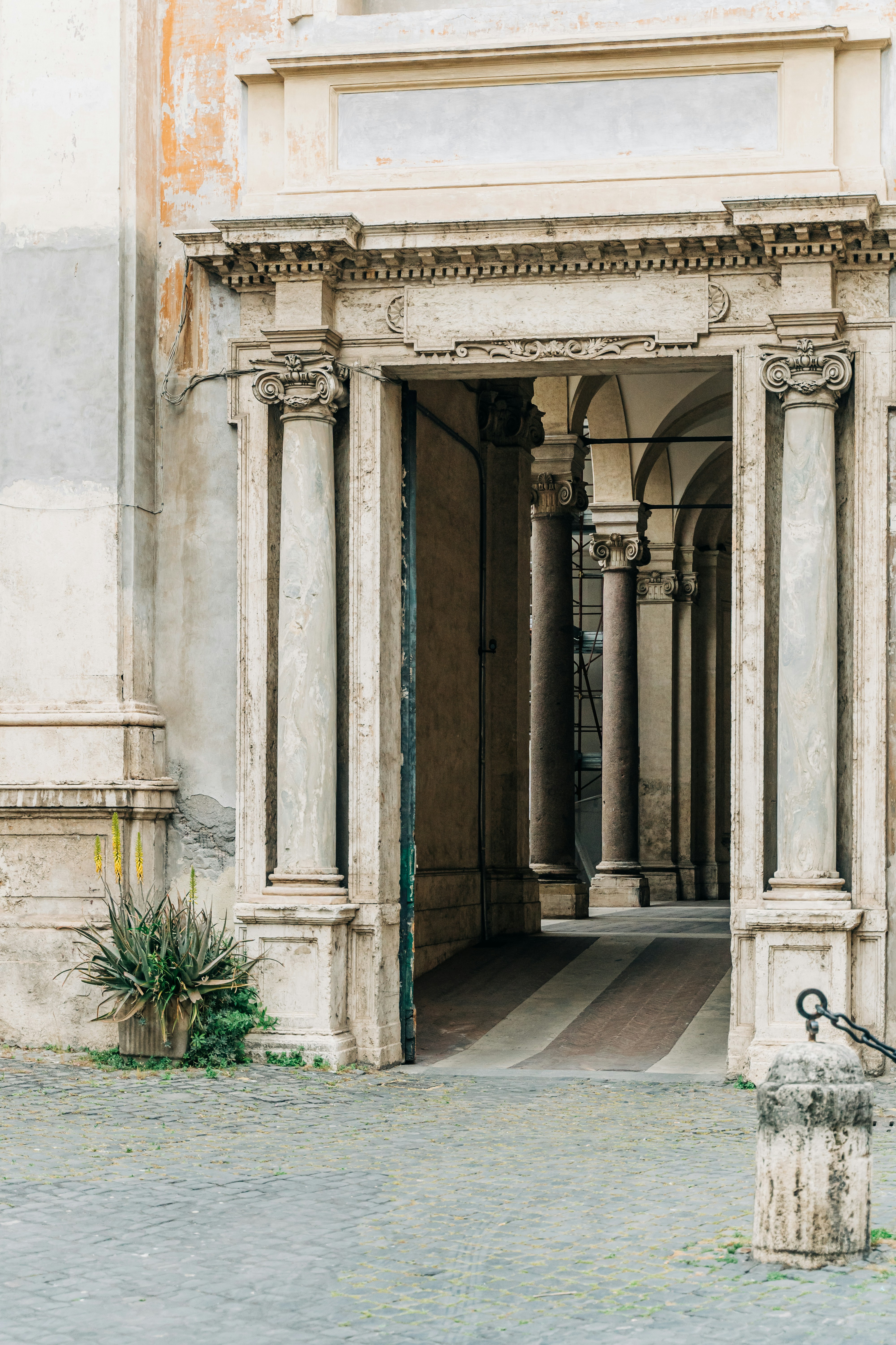 great photo recipe,how to photograph an ornate marble entrance to a condominium in rome, italy; green plant in front of white concrete building