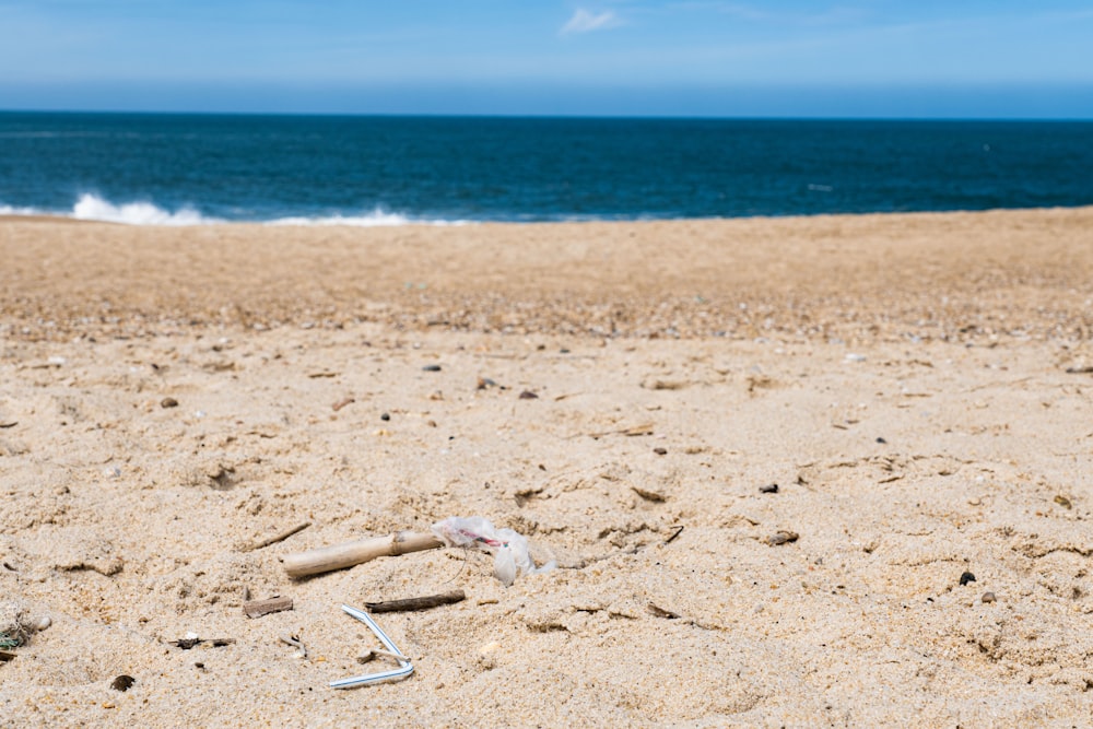 white sand beach during daytime