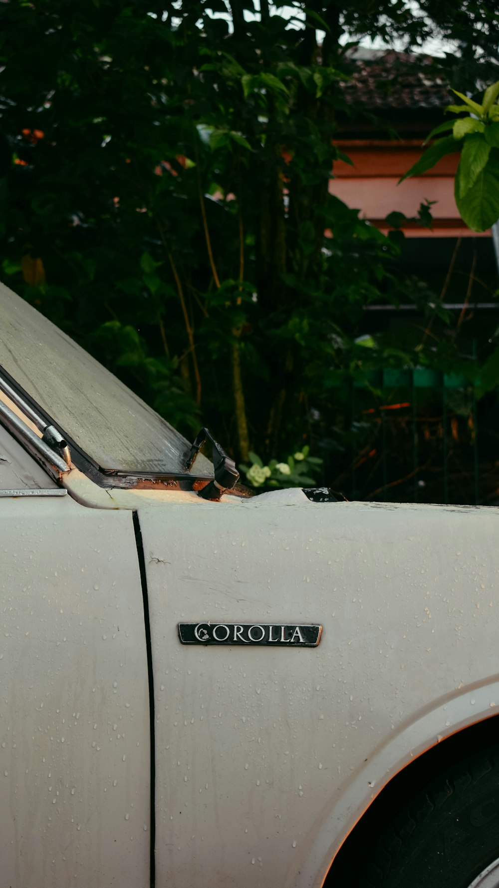 carro branco perto de plantas verdes