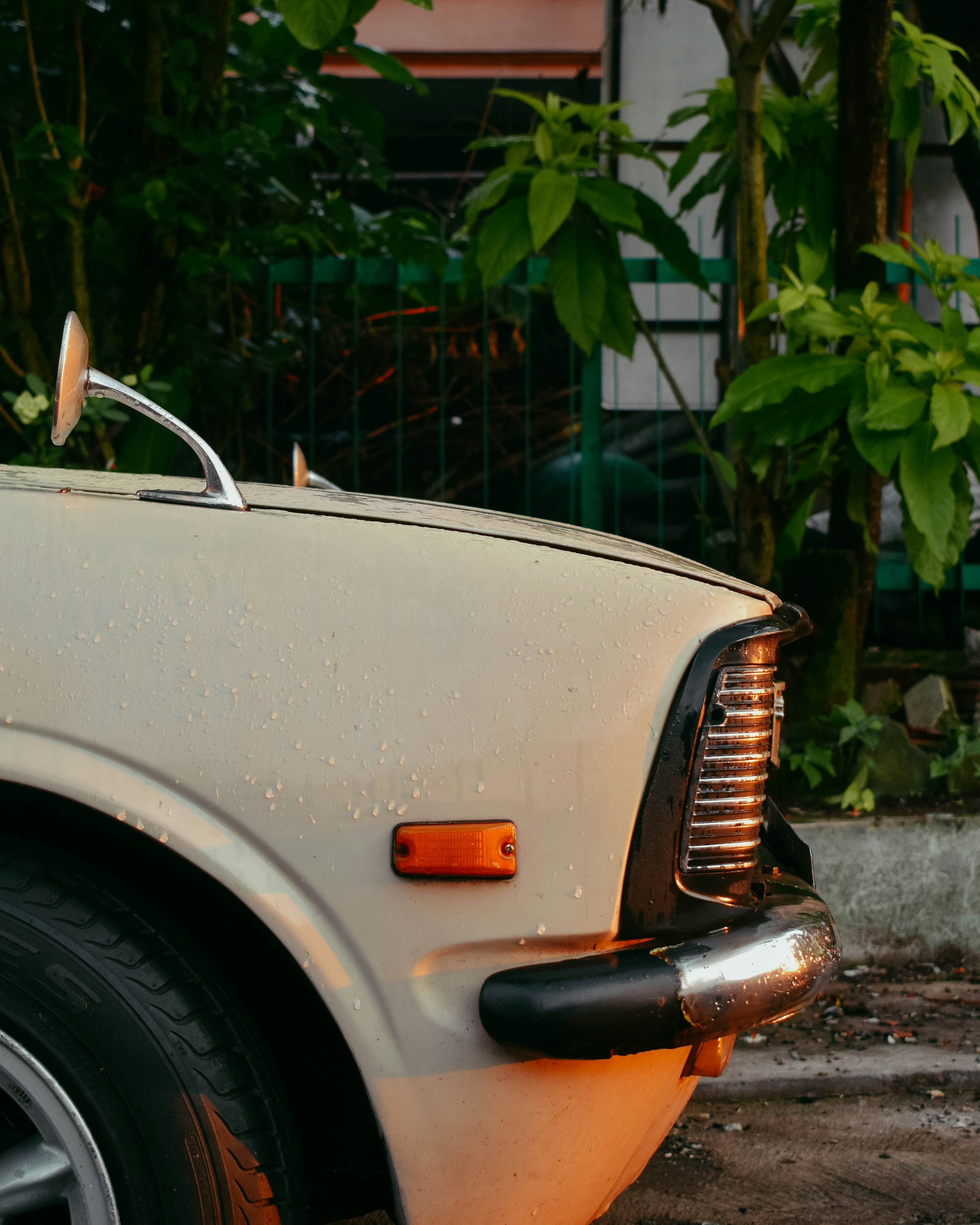 Photo by elangwardhana