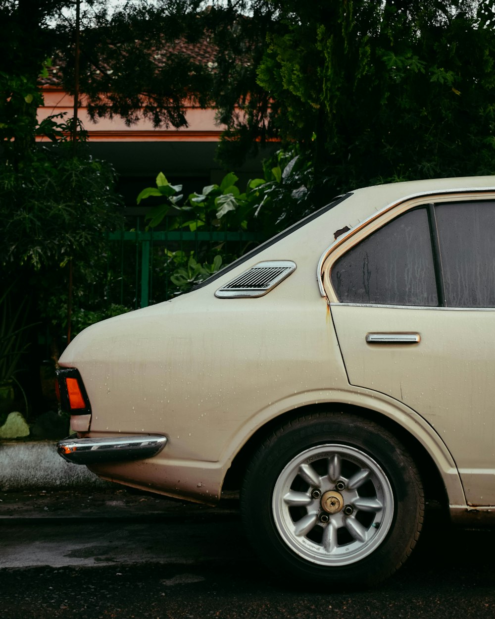 white car parked near green plants