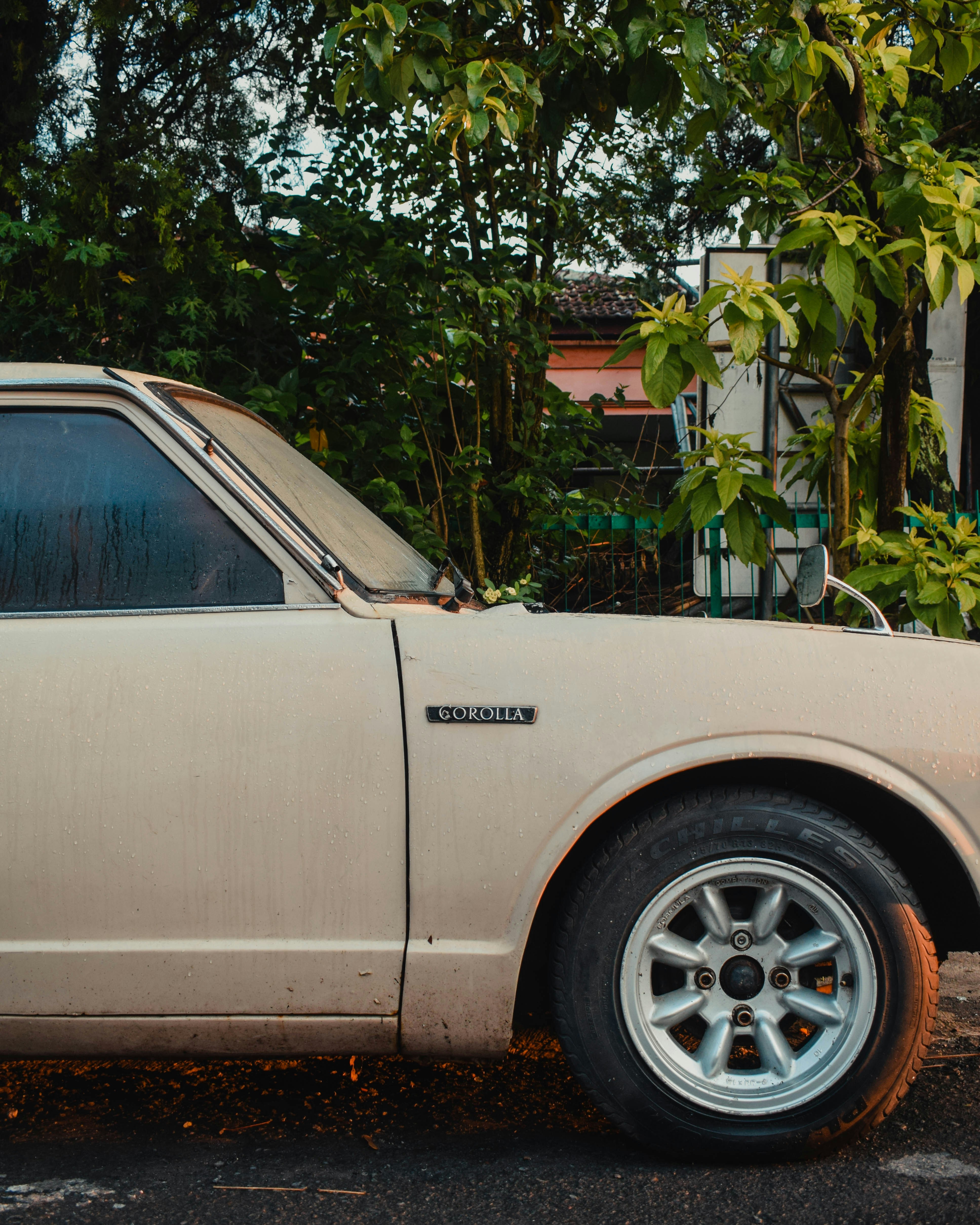 Photo by elangwardhana