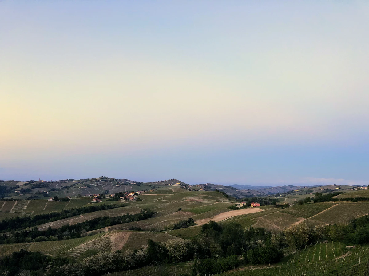 Barolo vineyards in the Langhe hills