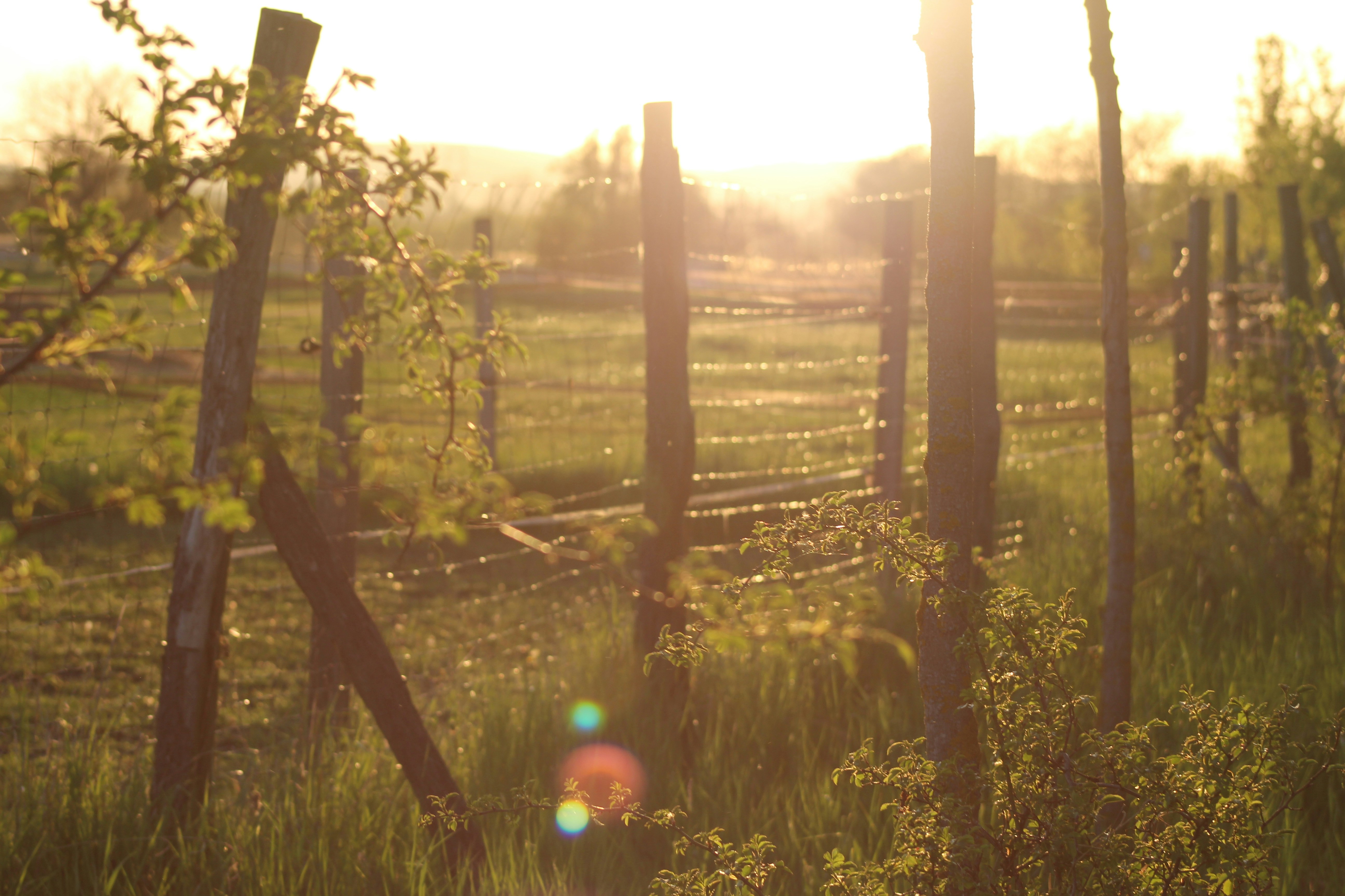 Photo by marjorylucabaxter