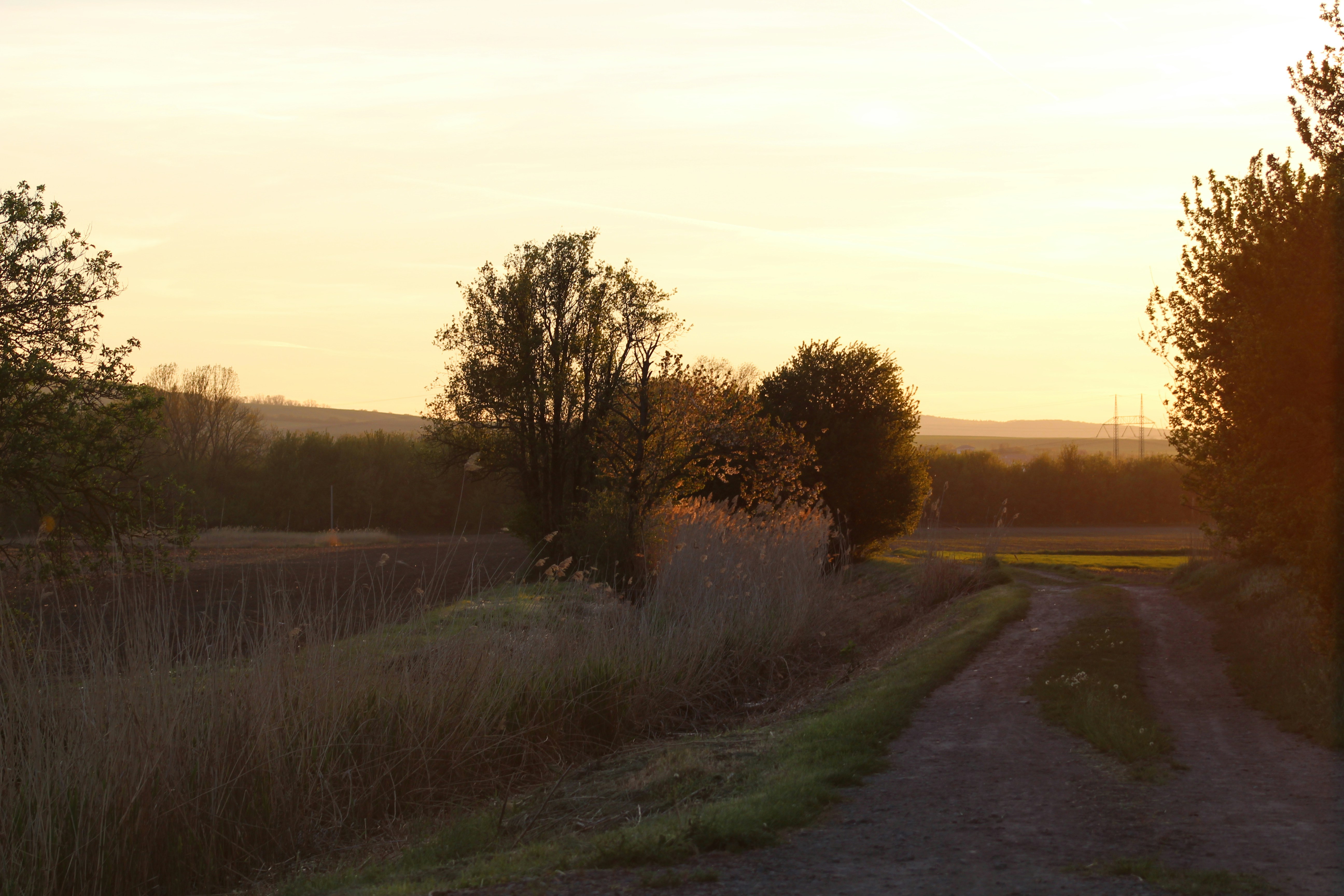 Photo by marjorylucabaxter