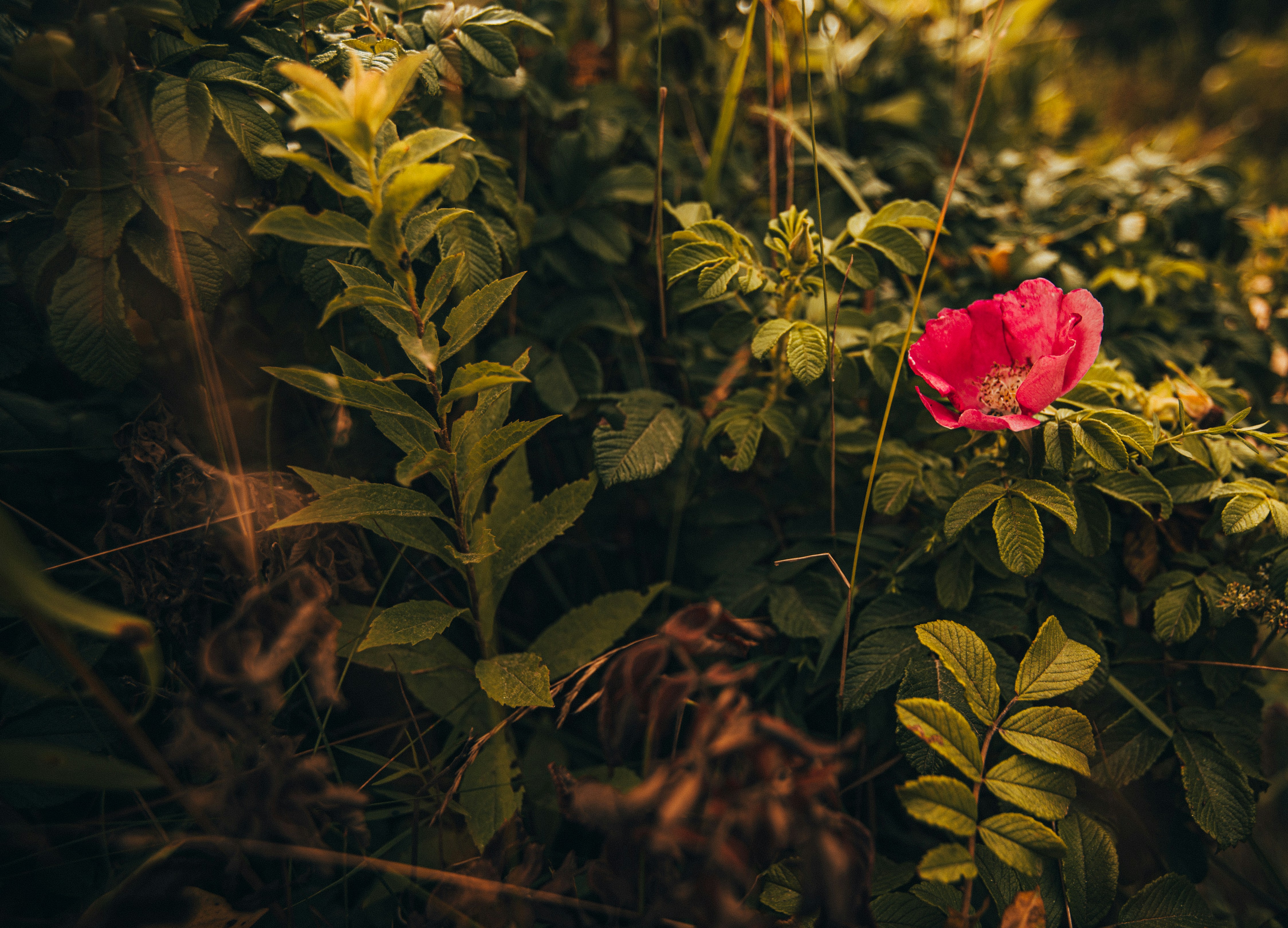 Photo by billyfreeman