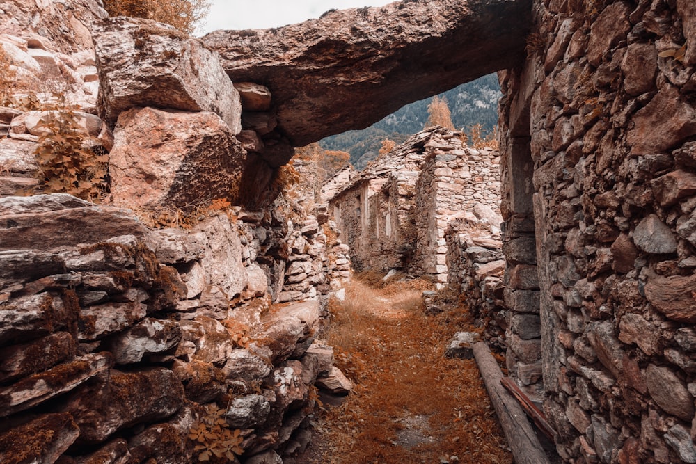 brown rock formation during daytime